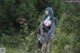 A woman with blue hair standing in the woods.