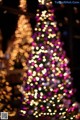 A close up of a christmas tree with lights on it.