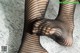 A woman wearing black fishnet stockings on a newspaper.