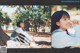 A woman sitting under a tree in a park.