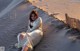 A woman sitting on top of a sandy beach.